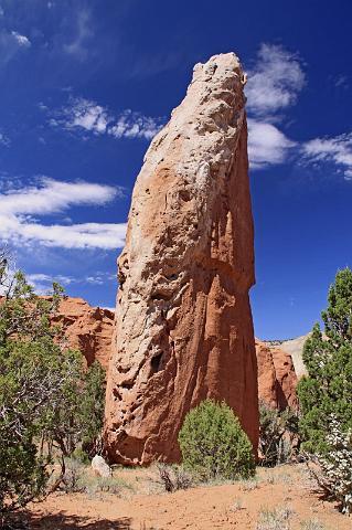 020 cottonwood canyon road,  kodachrome basin state park.JPG